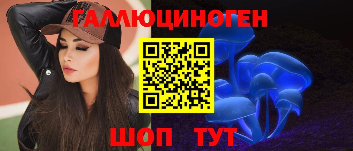 Псилоцибиновые грибы Psilocybe  Вход с VPN  Зима 